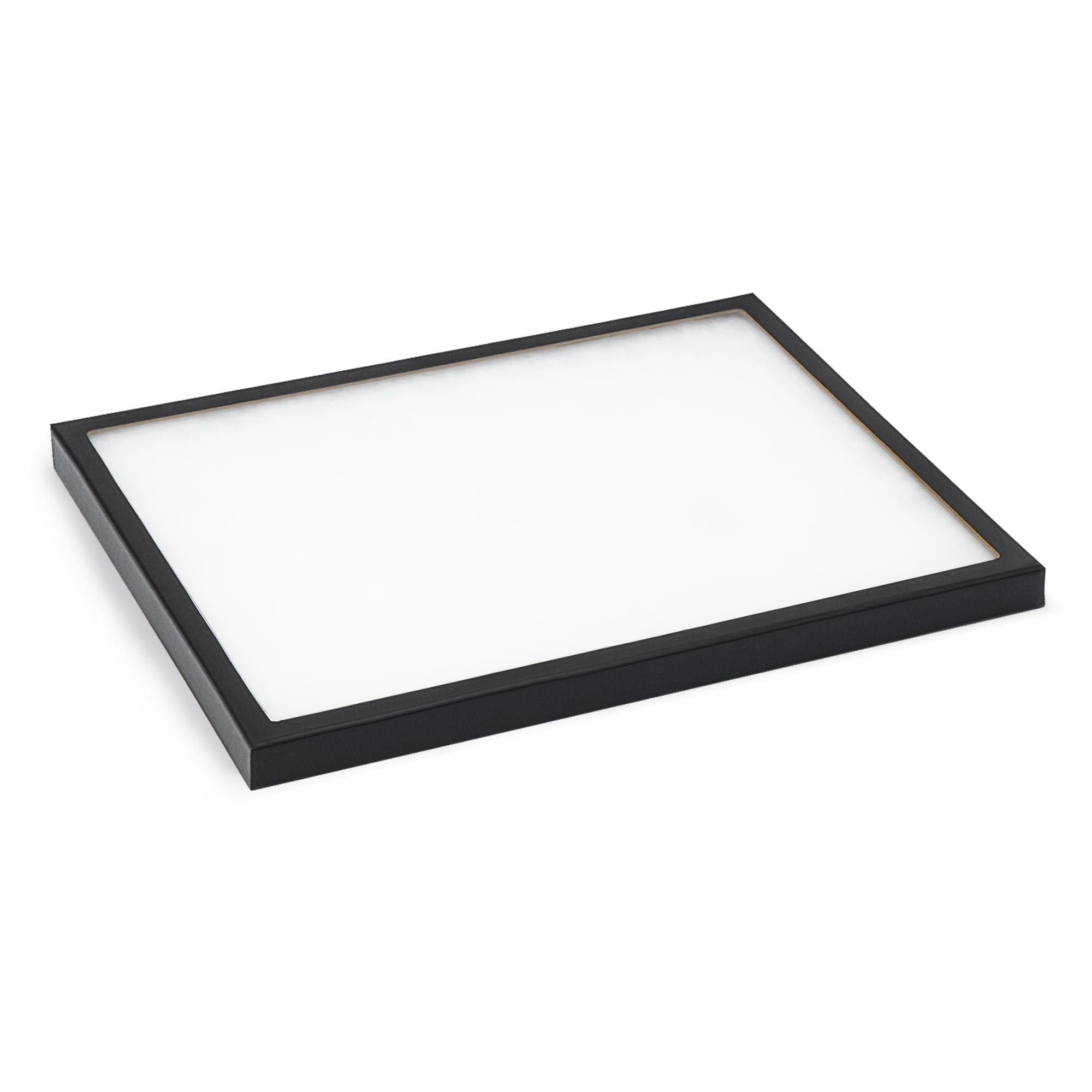 Safe 8316 Vetrina Vetro Grande 415x315 mm per Medaglie e Monete