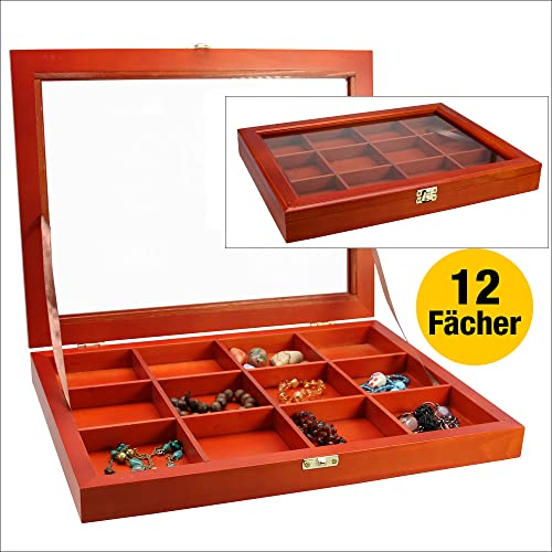 SAFE Vitrinen 5308 vetrina legno 24 scomparti vetro 395 mm