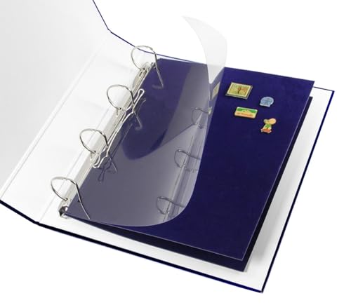 SAFE 5460 fogli medaglie DIN A4 supplementari, 2 pezzi