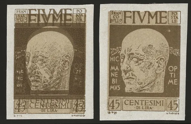 TS Collezionismo Filatelia Fiume D'Annunzio 45c Sassone 119k