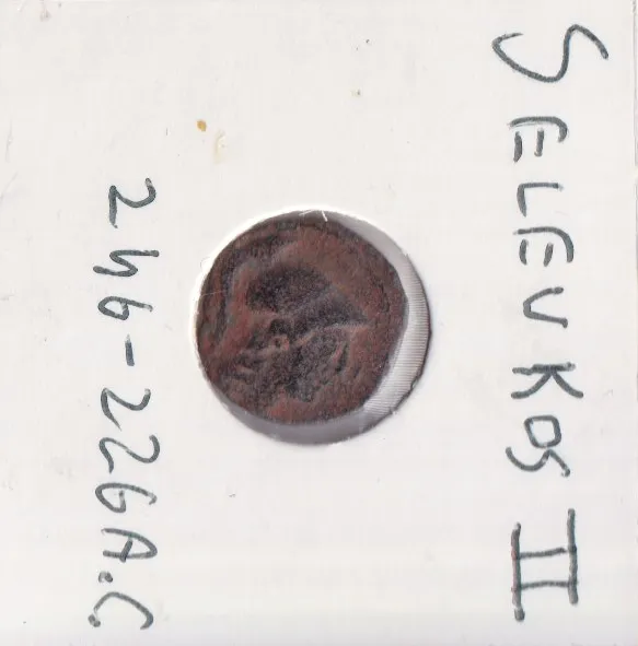 TS Collezionismo Numismatica Seleukos II Moneta Antica patina