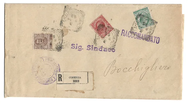 TS Collezionismo Filatelia Piego 1908 Cosenza Floreale Leoni