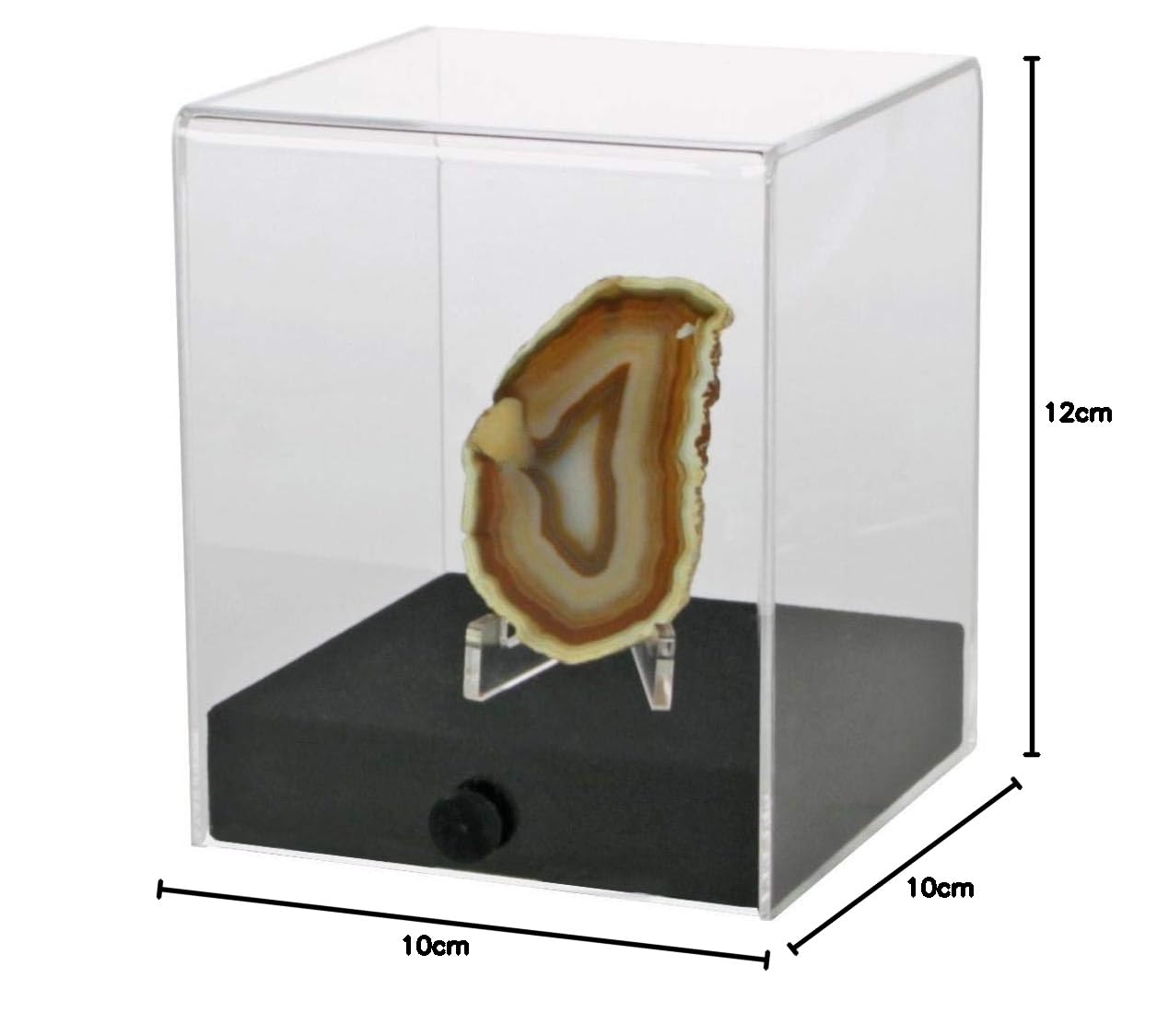 Safe Vitrinen Cubo vetrina acrilica 100x100x120 mm base legno