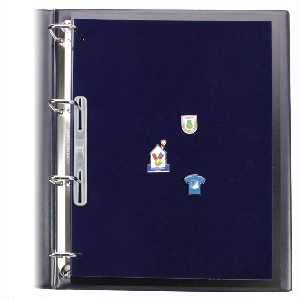 SAFE 5460 fogli medaglie DIN A4 supplementari, 2 pezzi