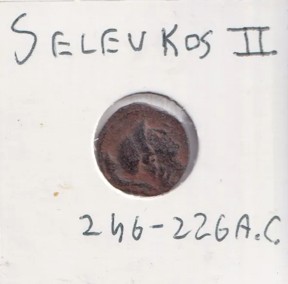 Seleucide Seleukos II Kallinikos moneta antica patina sabbia