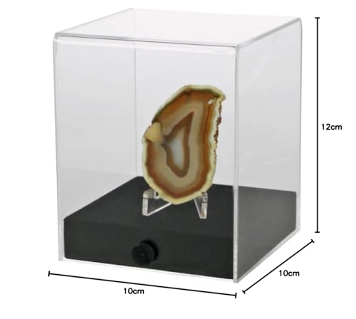 Safe Vitrinen Cubo vetrina acrilica 100x100x120 mm base legno