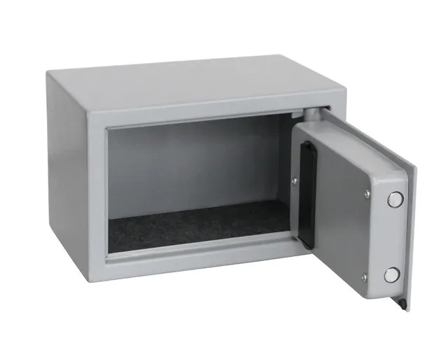 Safe 3984 Cassaforte Acciaio con Chiave 310x200 mm