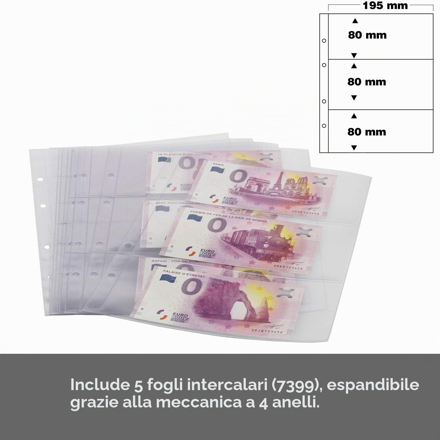 SAFE 3100 Album 0 Euro Tedesche con 5 Fogli rigido 4 anelli