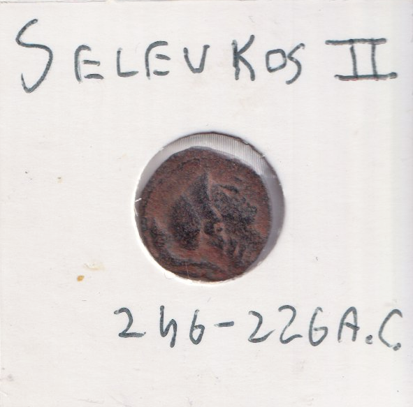 Seleucide Seleukos II Kallinikos moneta antica patina sabbia