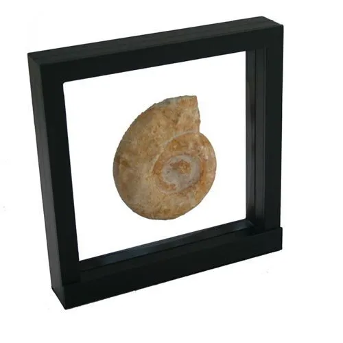 Safe Schweberahmen cornice flottante nera 18x18 cm