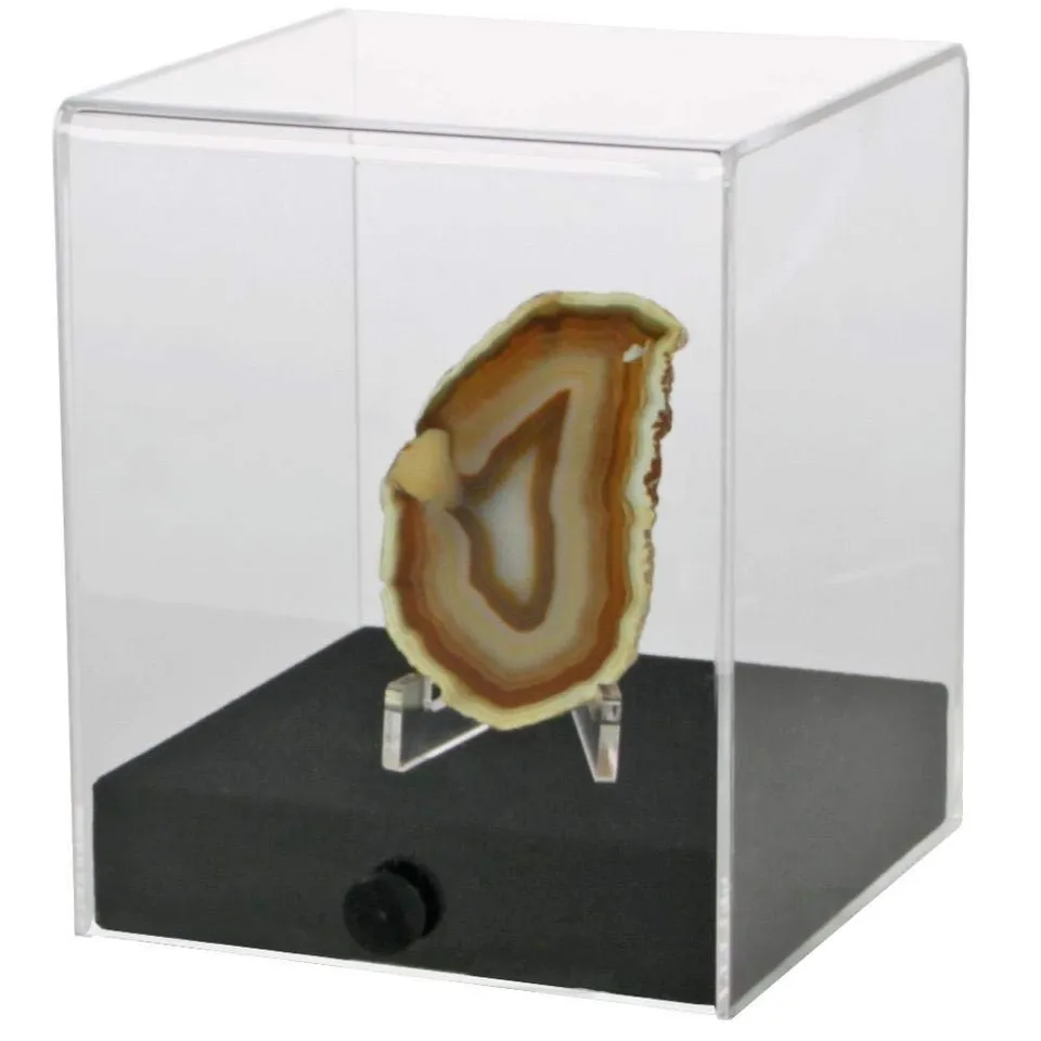 Safe Vitrinen Cubo vetrina acrilica 100x100x120 mm base legno