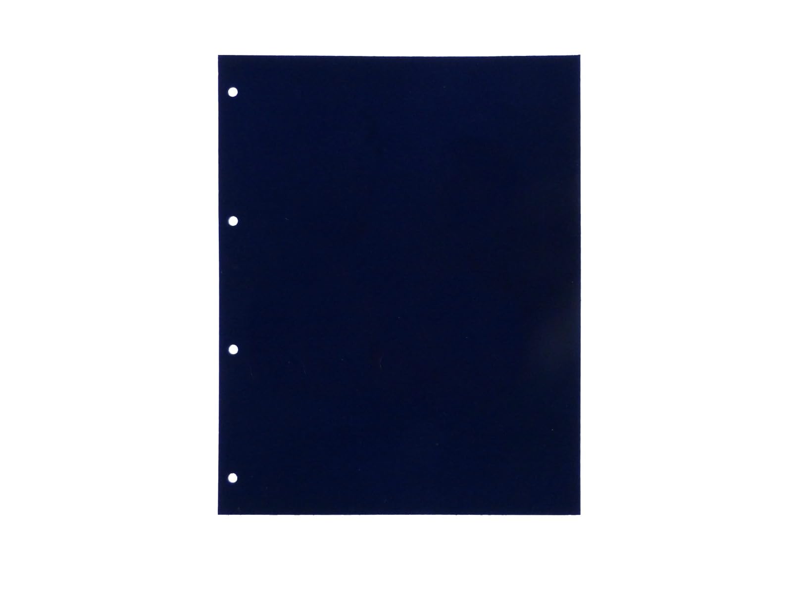 SAFE 5460 fogli medaglie DIN A4 supplementari, 2 pezzi