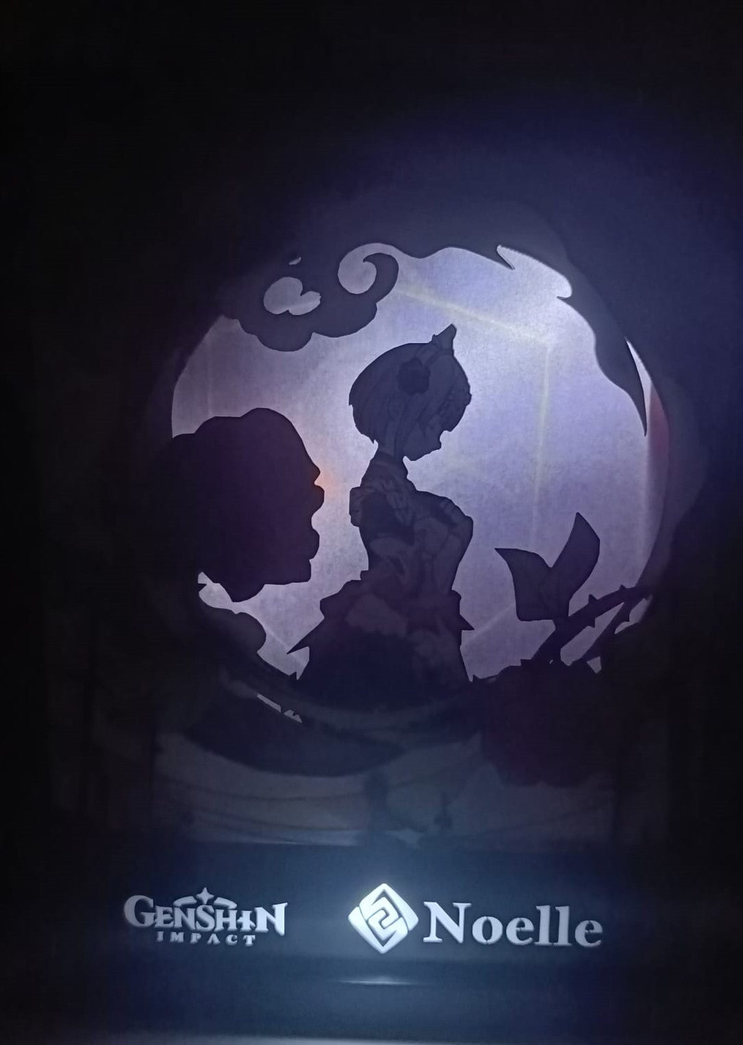 L'Atelier di Zelda Mondi di Luce Noelle lightbox rose rosse