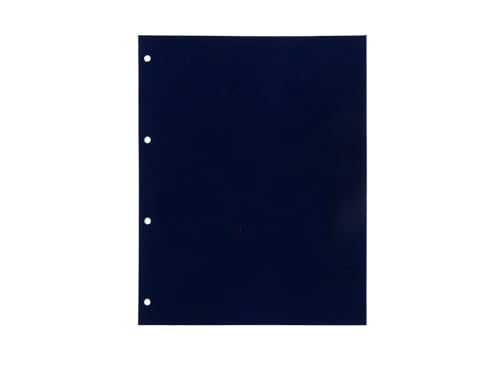 SAFE 5460 fogli medaglie DIN A4 supplementari, 2 pezzi