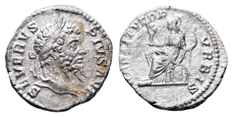TS Collezionismo Numismatica Denario Settimio Severo argento 2,97 g