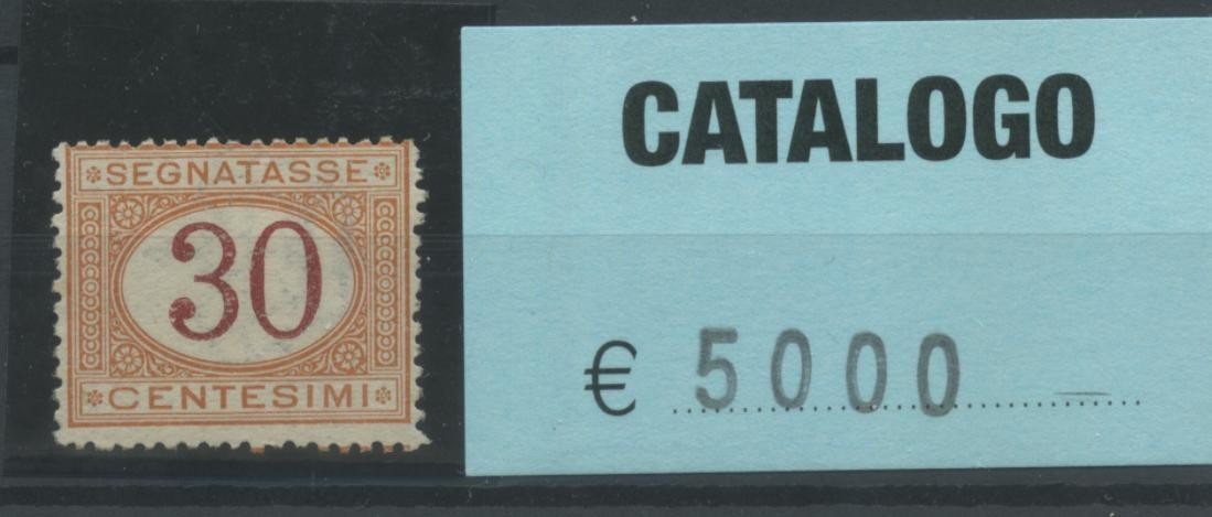 Regno 1870 Segnatasse 30c ocra carminio francobollo nuovo**