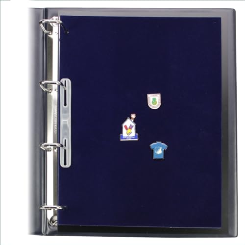 SAFE 5460 fogli medaglie DIN A4 supplementari, 2 pezzi